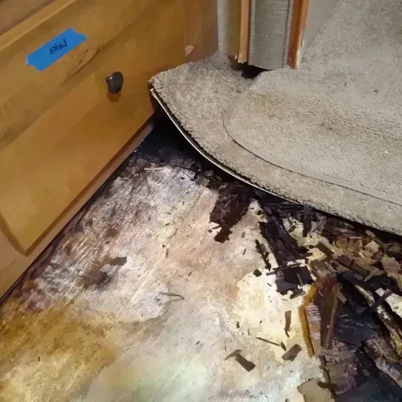 Wood Floor Water Damage in Saint Anthony, MN